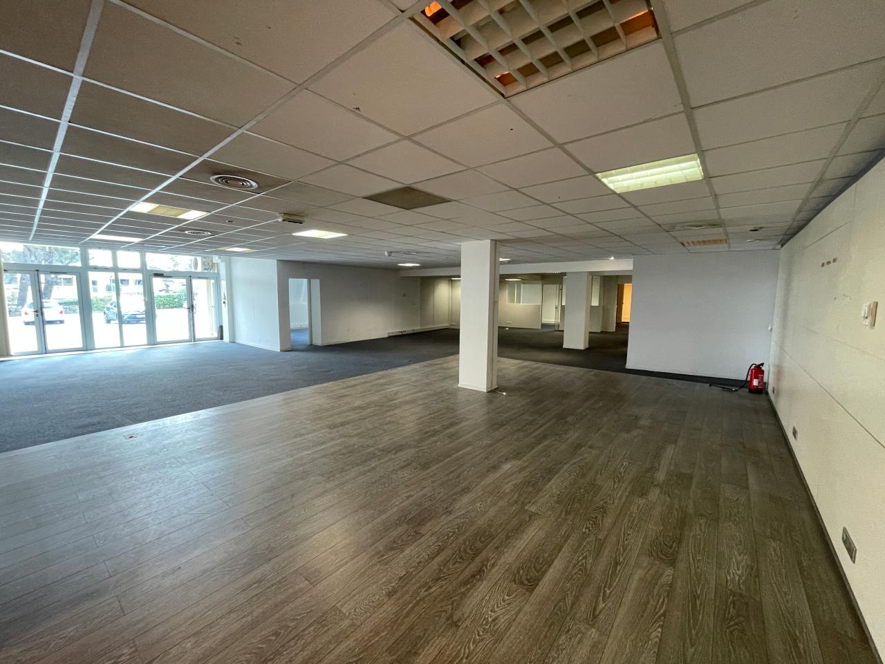 Local d'activité Sophia Antipolis 319m² Location local d'activité Sophia Antipolis Alpes-Maritimes OLACT2309205 7